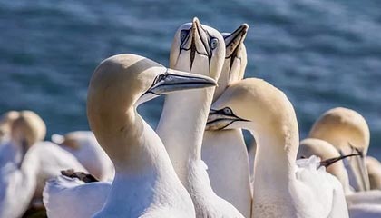 17c一起草视频分享让我破防的一瞬间——原来问题出在这里